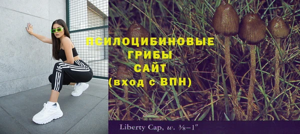 ECSTASY Козельск