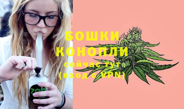прущая мука Козловка